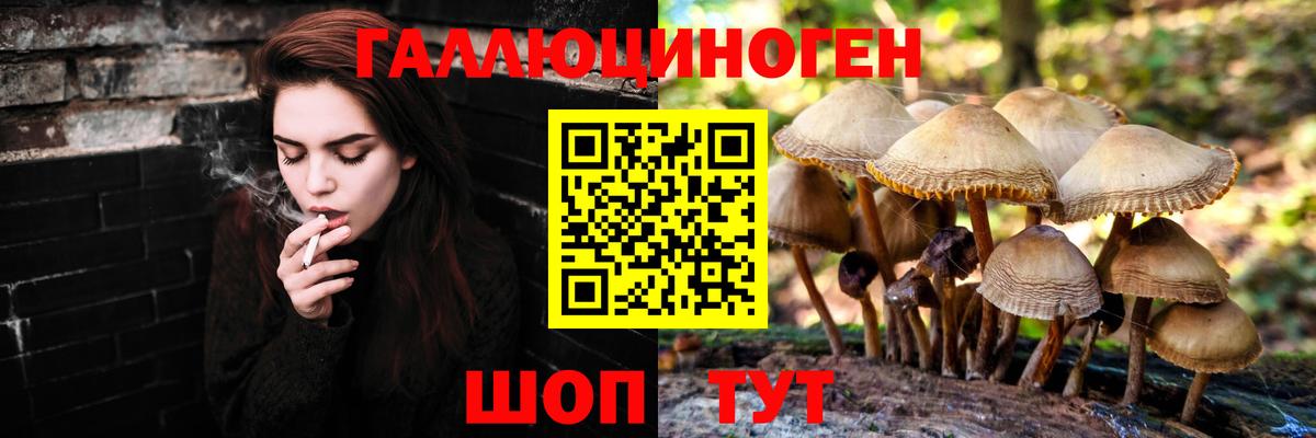 Осинники  Псилоцибиновые грибы Psilocybe  сколько стоит  Вход с VPN 